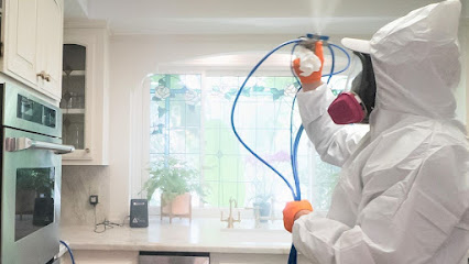 Mold Zero Services | Los Angeles Mold Removal