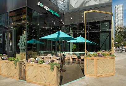 Tocaya Modern Mexican, Los Angeles