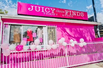 Juicy Little Finds Thrift Store, Los Angeles