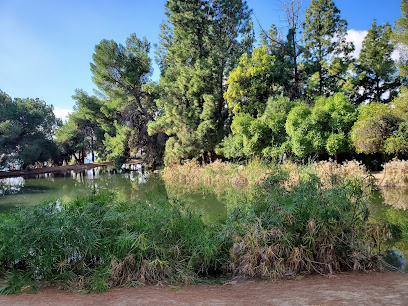 Debs Lake, Los Angeles