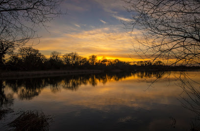 Redwing Lake, Los Angeles