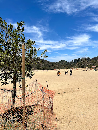 Laurel Canyon Dog Park, Los Angeles