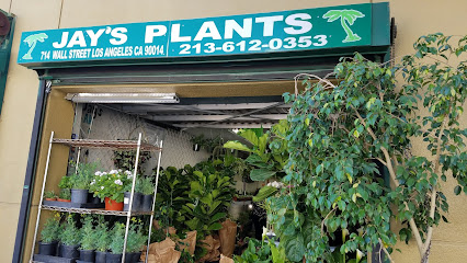 Jay's Plants, Los Angeles