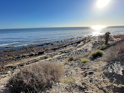 Stairway To Beach, Los Angeles