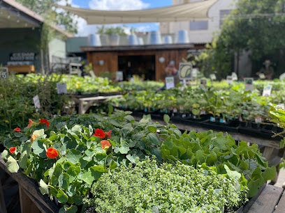 Fig Earth Supply, Los Angeles