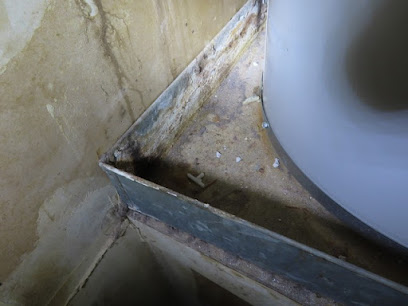 Golden State Mold Inspections, Los Angeles