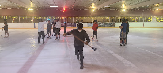 Ice Skating Party for Kids, Los Angeles