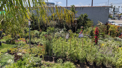 Flower Nursery, Los Angeles