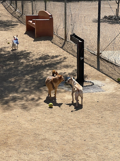 Hermon Dog Park, Los Angeles