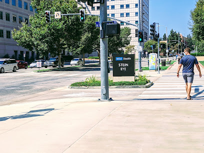 Stein Eye Institute, Oculoplastics Division, Los Angeles