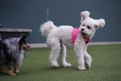 West Hollywood Park Dog Park, Los Angeles