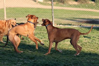 Gordon Street Dog Park, Los Angeles