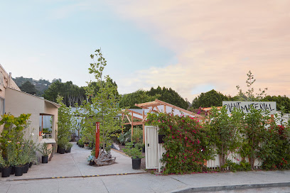 Plant Material - Glassell Park, Los Angeles