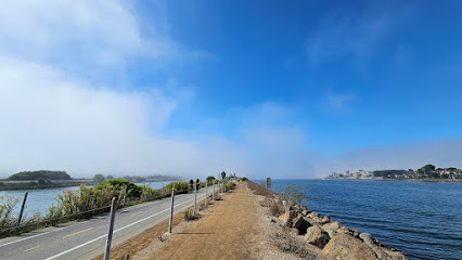 Ballona Creek - Marina Del Rey Jetty, Los Angeles