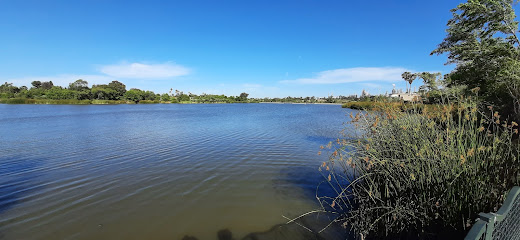 Machado Lake, Los Angeles
