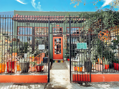 Potted, Los Angeles