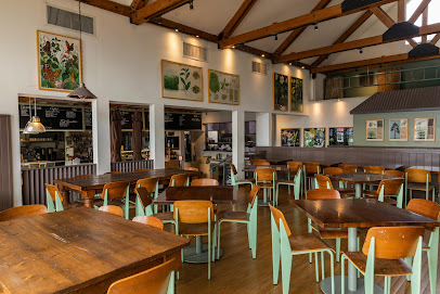 Coral Tree Cafe, Los Angeles