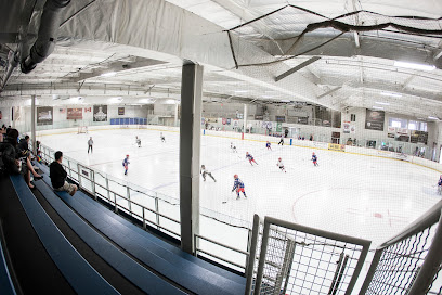 The Rinks - Lakewood ICE, Los Angeles
