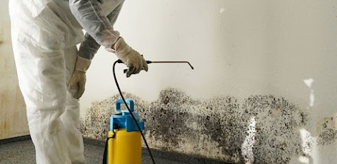 LA Mold Testing Inc., Los Angeles