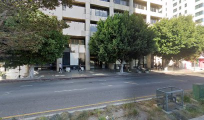Nita Lemon Law Firm, Los Angeles