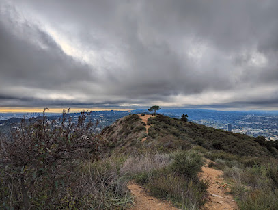 Aileen Getty Ridge Trail, Los Angeles