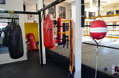 Tiger Boxing Gym, Los Angeles