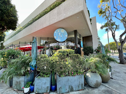 Lazy Daisy - Westwood, Los Angeles