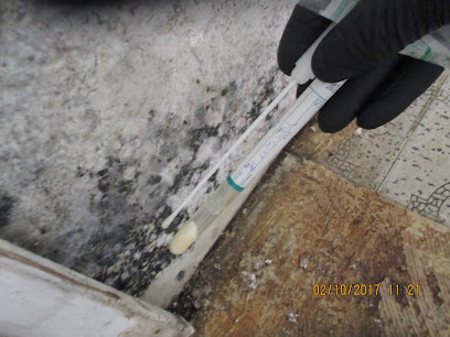 Same Day Mold Testing Inc, Los Angeles