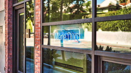 Mane Duo Salon, Los Angeles