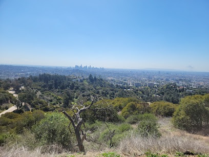 Glendale Peak, Los Angeles