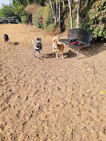 L.A. Live Large Dogs Park, Los Angeles