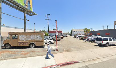 Rapid Response Mold Testing - Los Angeles Mold Inspection & Testing Specialists