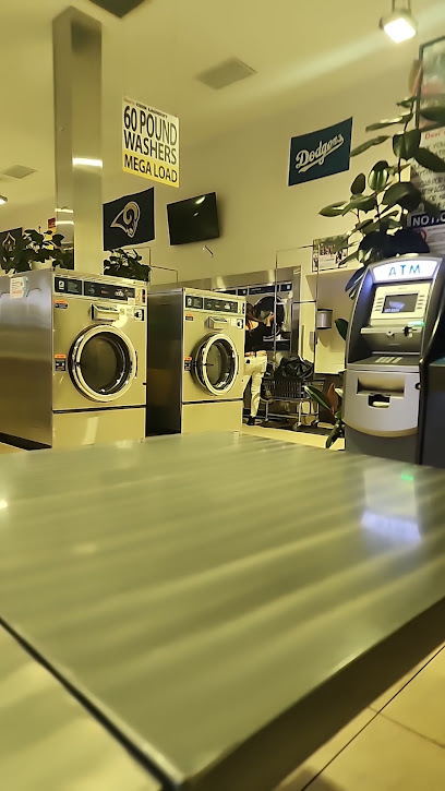 Desi's Coin Laundry