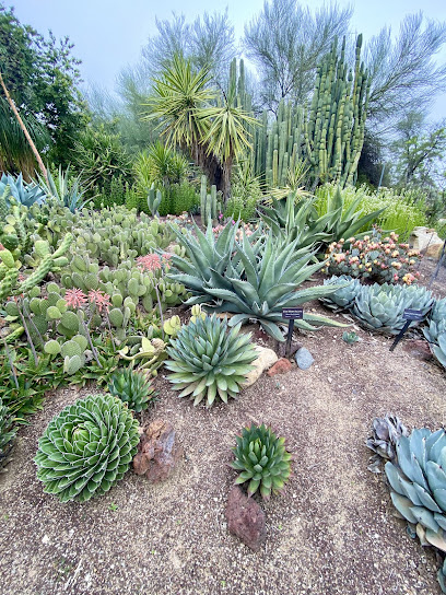 S. Mark Taper Life Science Botanical Garden