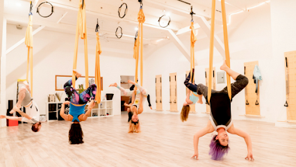 The Bridge Mind Body Movement