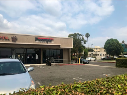 Freestyle Photo & Imaging Supplies