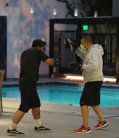 DOWNTOWN FIGHTING CLUB​