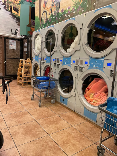 24 Hour Coin Laundry