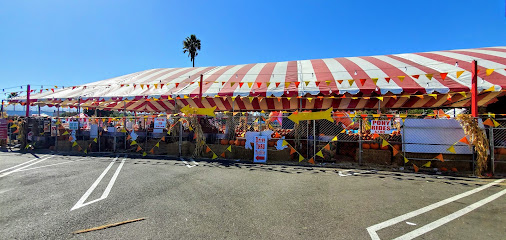 Torrance pumpkin patch