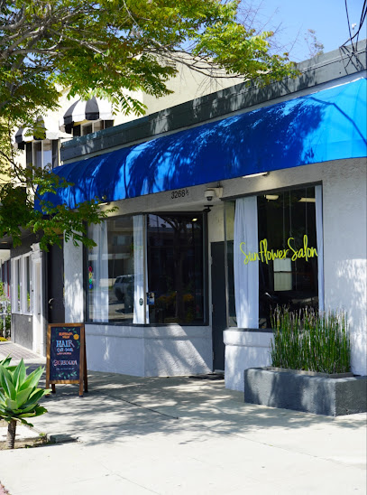 Sunflower Salon