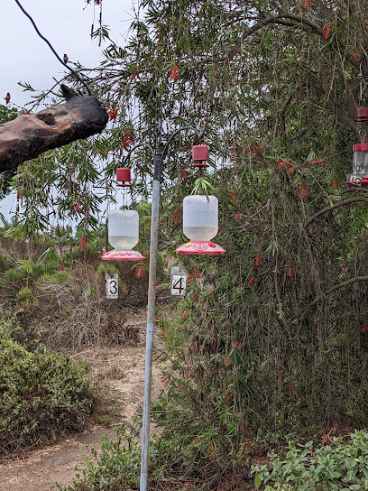 Kenneth Hahn Hummingbird Garden