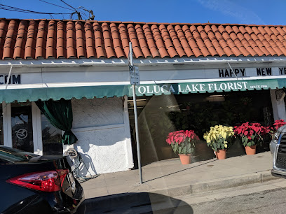 Toluca Lake Pumpkin Festival & Christmas Trees