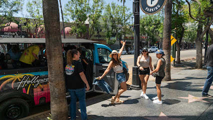 Hollywood Bus Tours