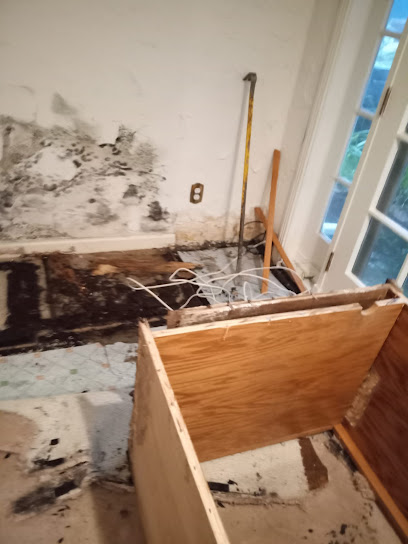 Mold Testing California