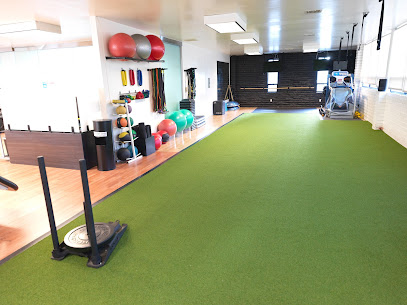 Evolution Physical Therapy & Fitness