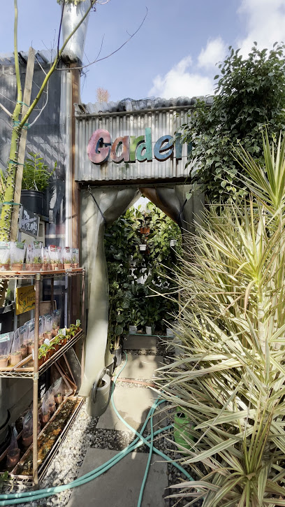 Mickey Hargitay Plants