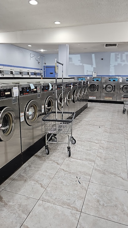 The Hollywood Laundry