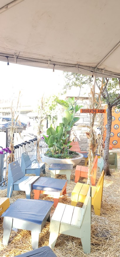 Mr. Jack O' Lanterns Pumpkins