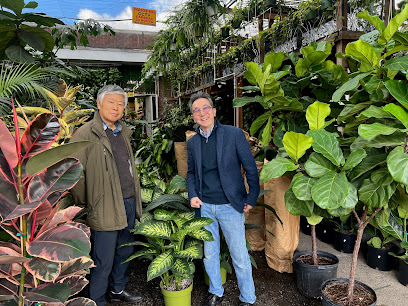 City Home & Garden, Inc