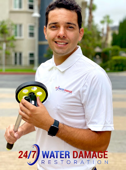 Henry's Mold inspection near Culver City